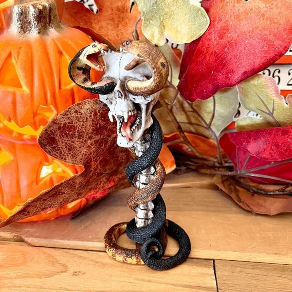 New In Box Resin Skull With Cobra Snakes Candle Stick Holder - Picture 8 of 8